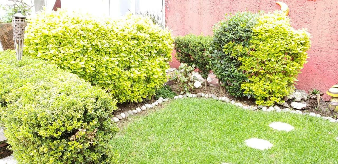 Guest house Anys Hostal Mexico City